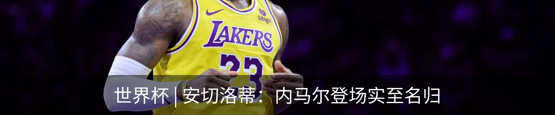 最新动态