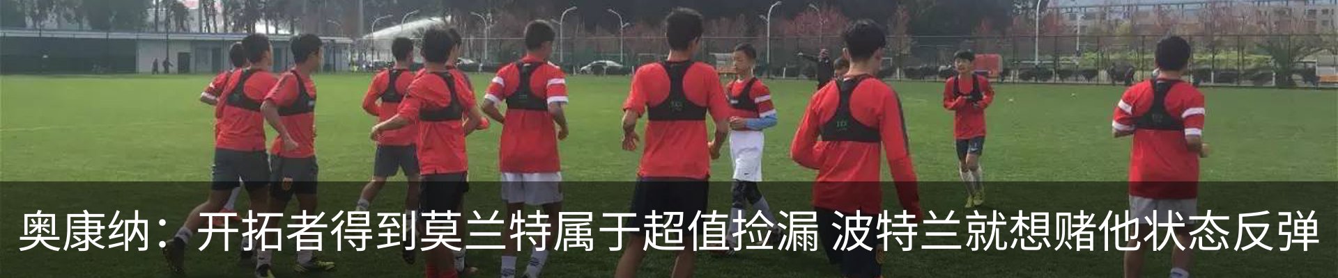 最新动态