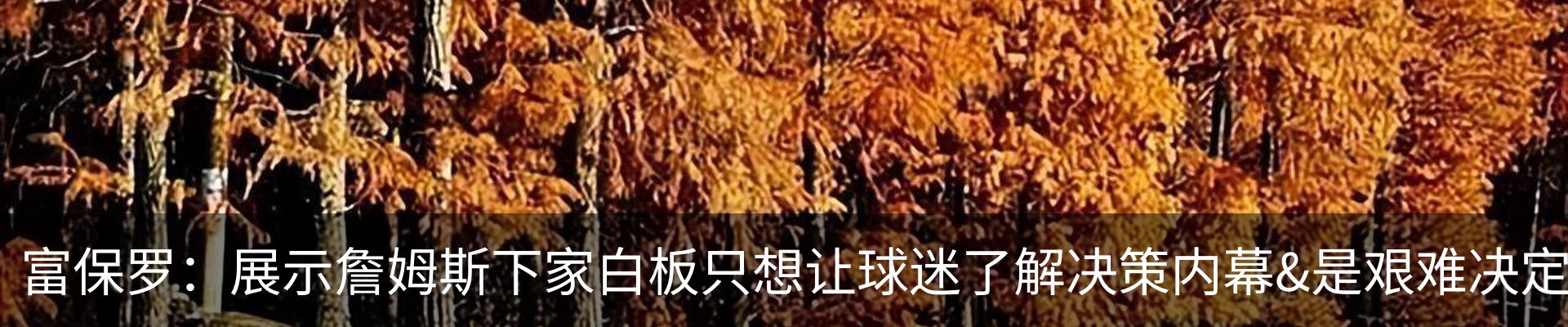 最新动态