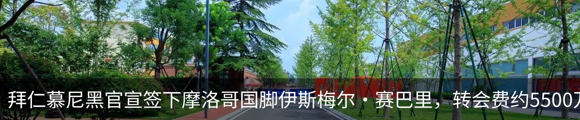 最新动态