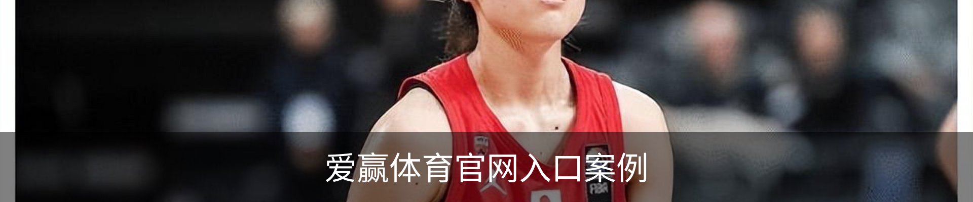 爱赢体育官网入口案例