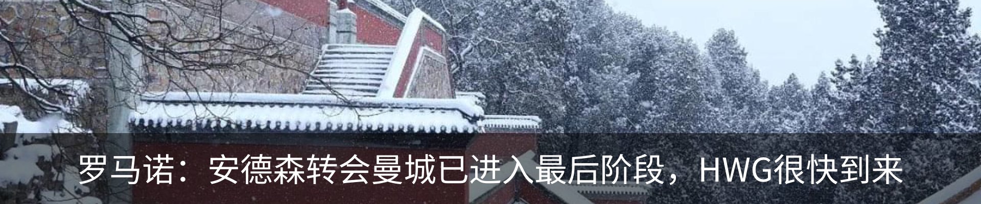 最新动态
